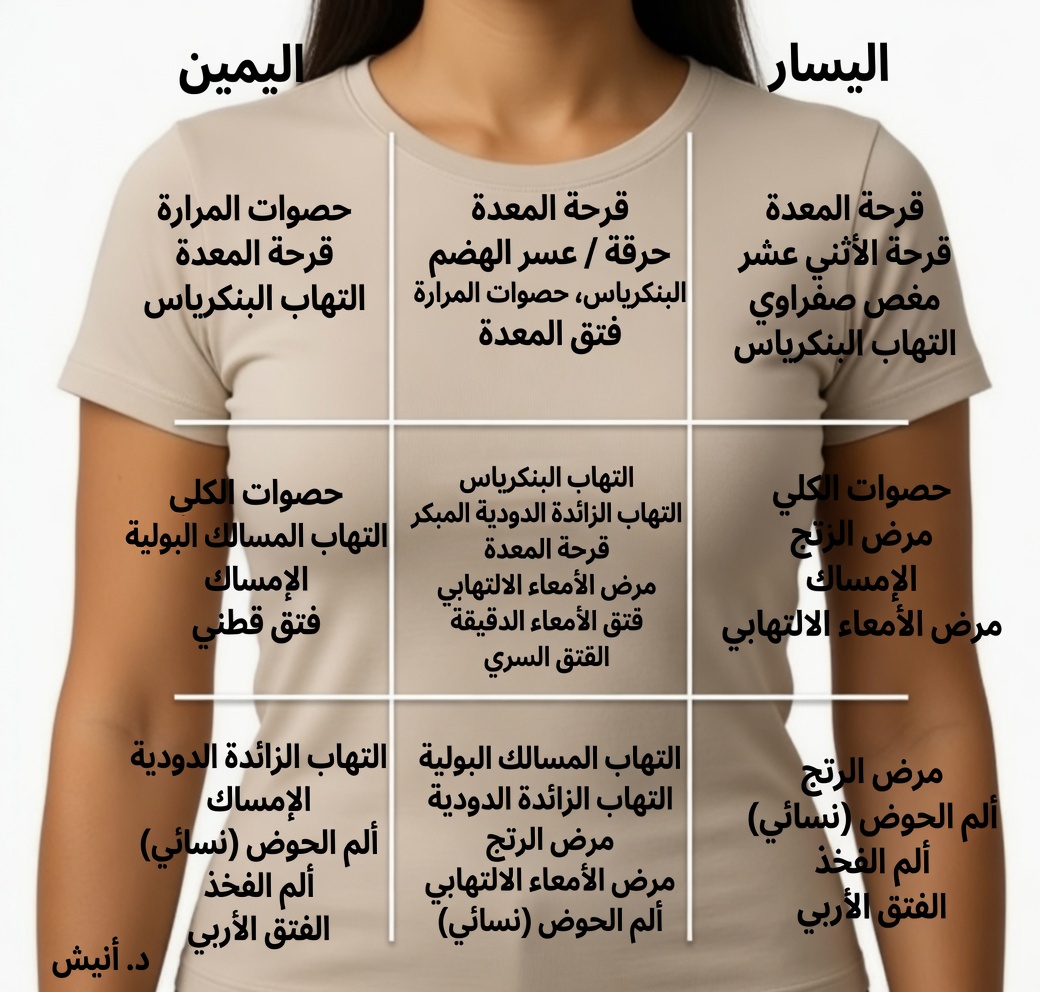شرح مناطق انتشار ألم البطن: دليلك الكامل لفهم الألم في أجزاء مختلفة من البطن