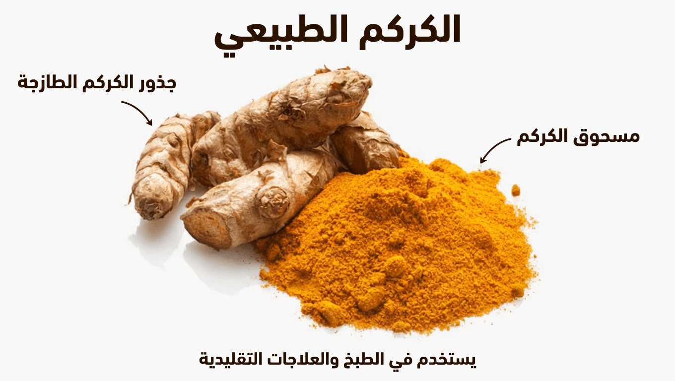 اكتشف 6 أعشاب قوية قد تدعم صحتك وعافيتك طبيعيًا في روتينك اليومي