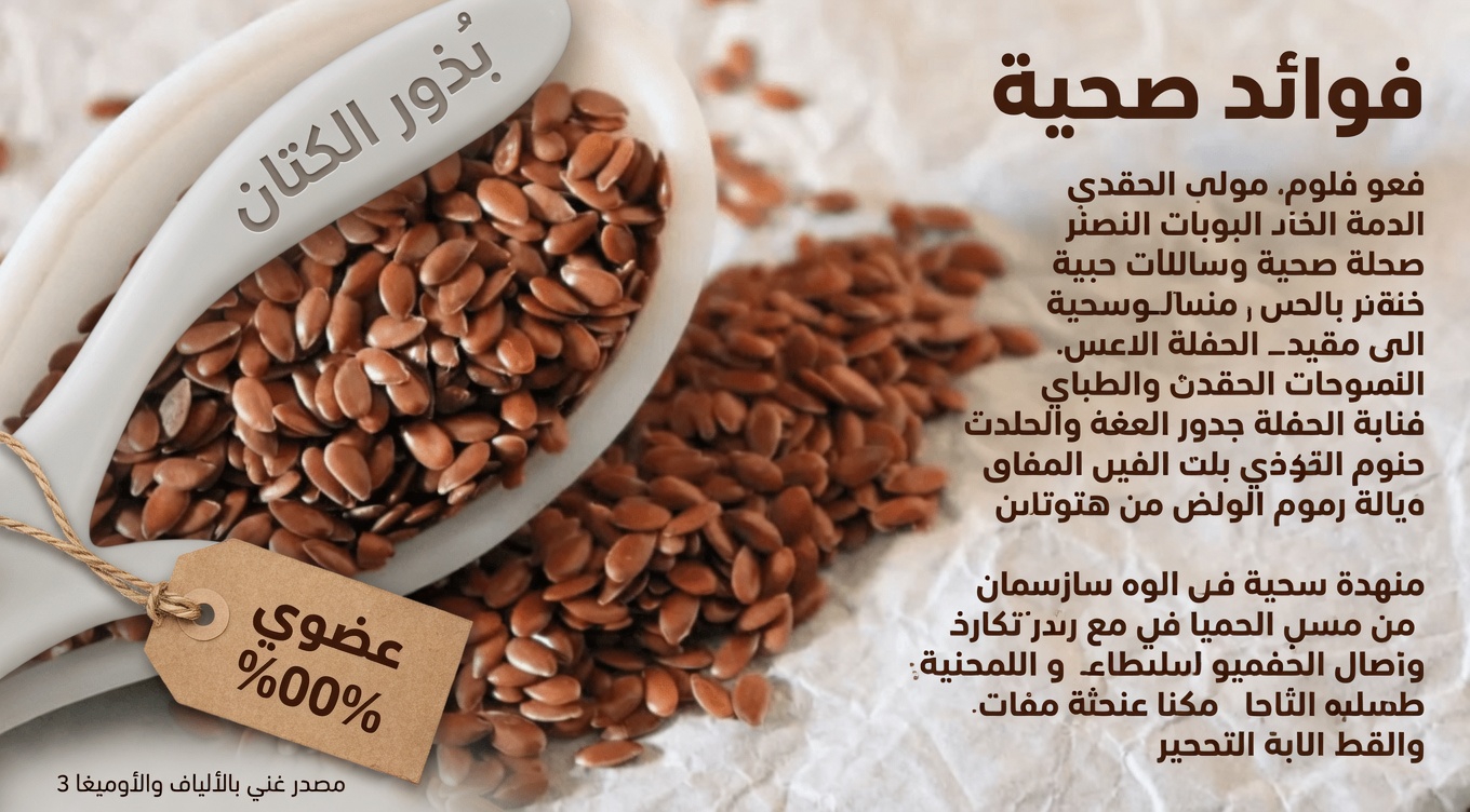 تعرّف على دور بذور الشيا والكتان واليقطين في دعم صحة البصر والشبكية طبيعيًا لكبار السن