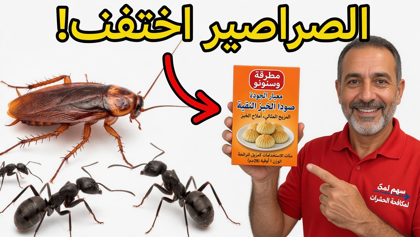 طرق بسيطة لاستخدام صودا الخبز لمكافحة الآفات ضد الصراصير والنمل والفئران وغيرها