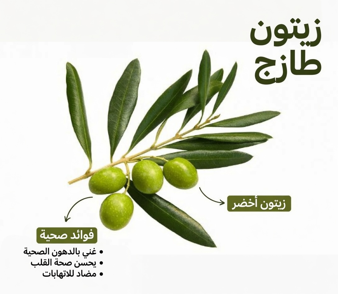 اكتشاف الفوائد الصحية المحتملة لأوراق الزيتون: نصائح لإدخال هذه العشبة القديمة إلى روتينك اليومي