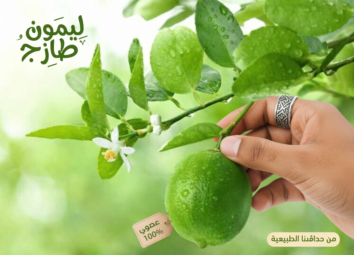 كيفية تحضير وصفة عصير طبيعي بسيطة بالقرع المر والخيار والليمون والقرنفل