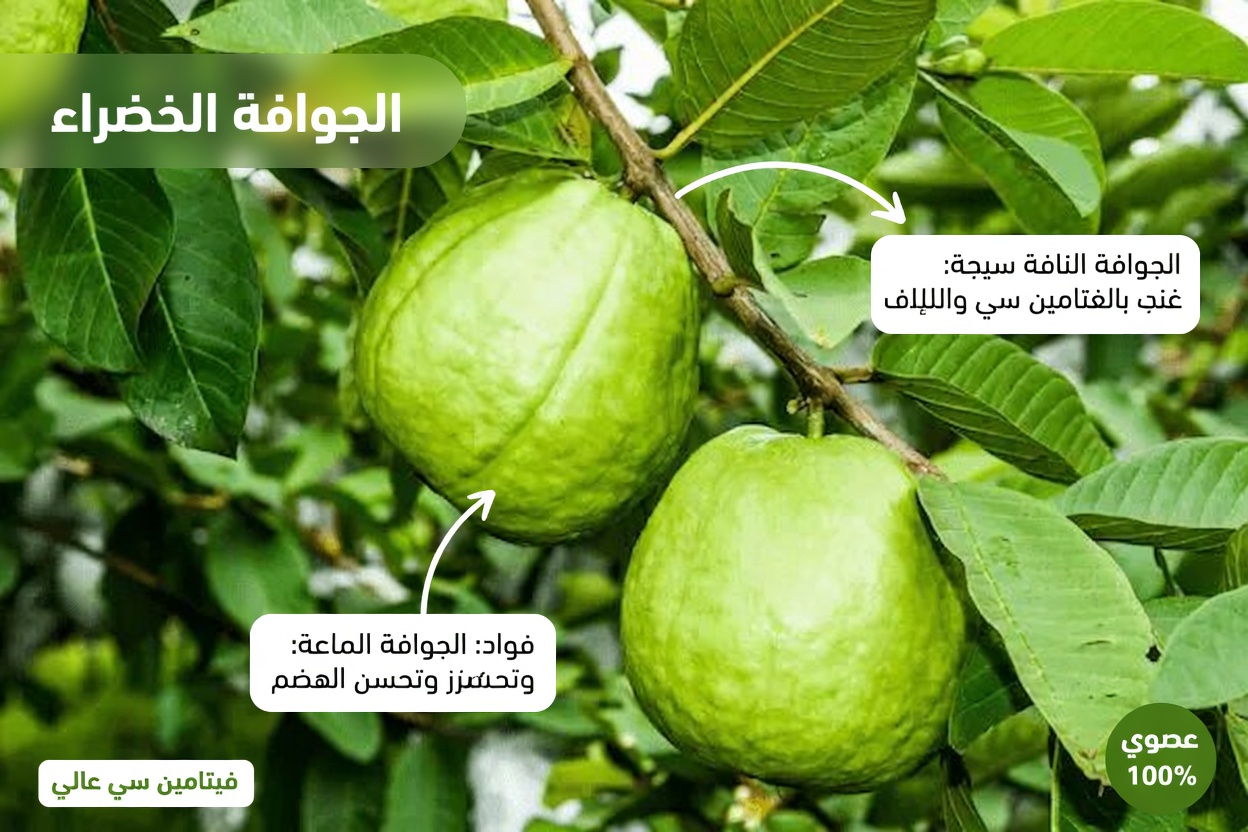 كيف يمكن لأوراق الجوافة أن تدعم صحة عينيك بشكل طبيعي؟ اكتشف طرقًا بسيطة ووصفات منزلية