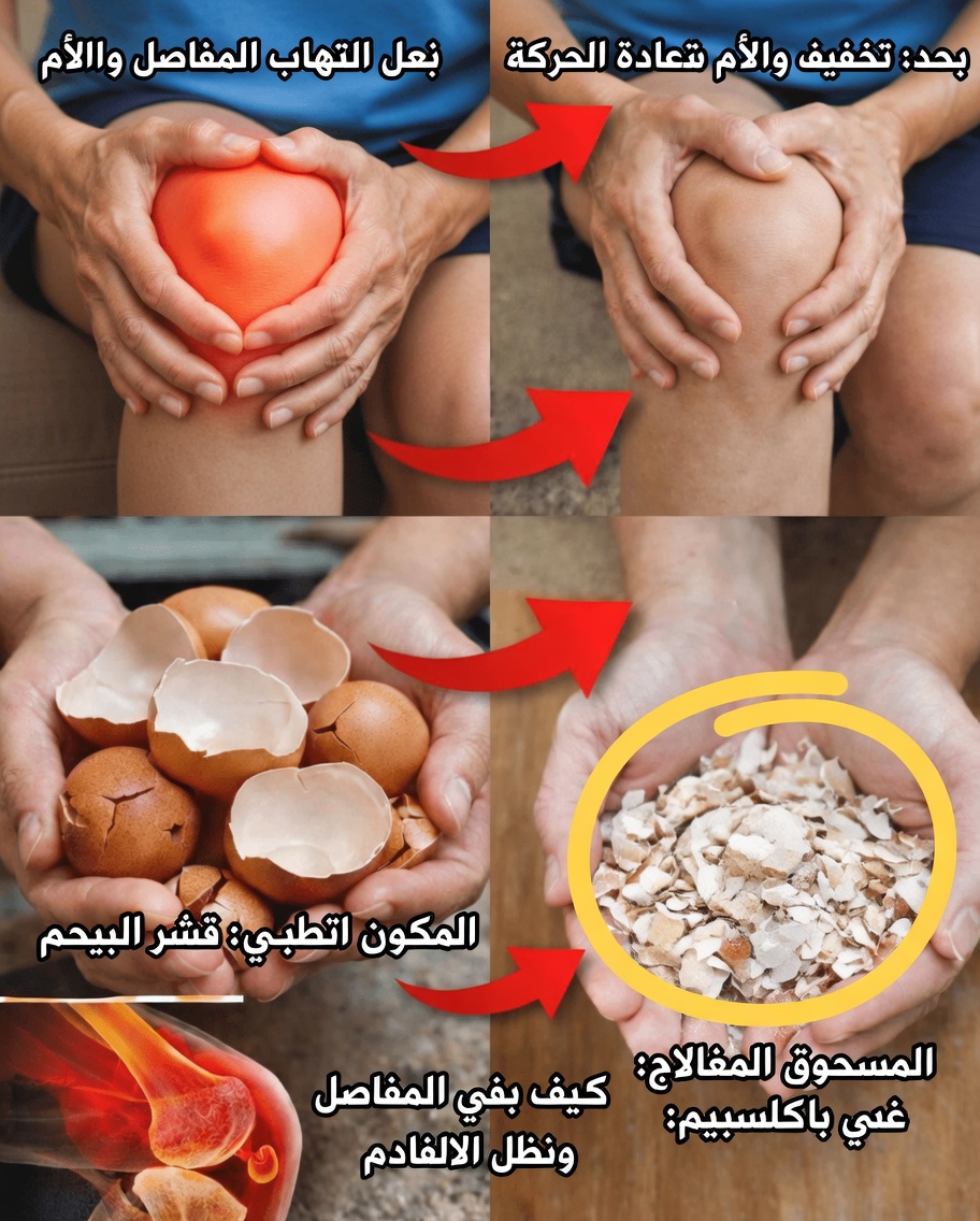 لا ترمِ قشور البيض مرة أخرى بعد قراءة هذا – لن تصدّق مدى فائدتها!