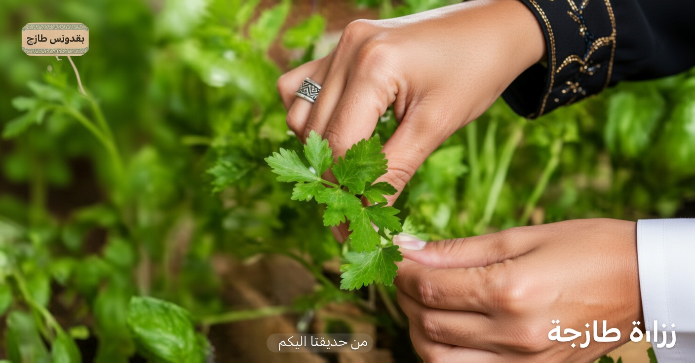 التوابل الثلاثة اليومية التي قد تساعد في دعم صحة الكلى وطرد السموم واستعادة الطاقة بشكل طبيعي
