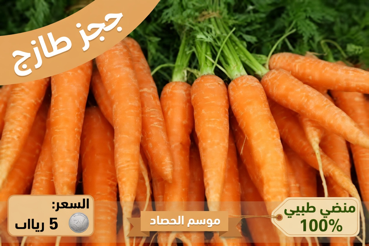 كبار السن: تناولوا هذه الأطعمة السبعة يوميًا وقد تعيشون حتى 100 عام – أسرار طول العمر