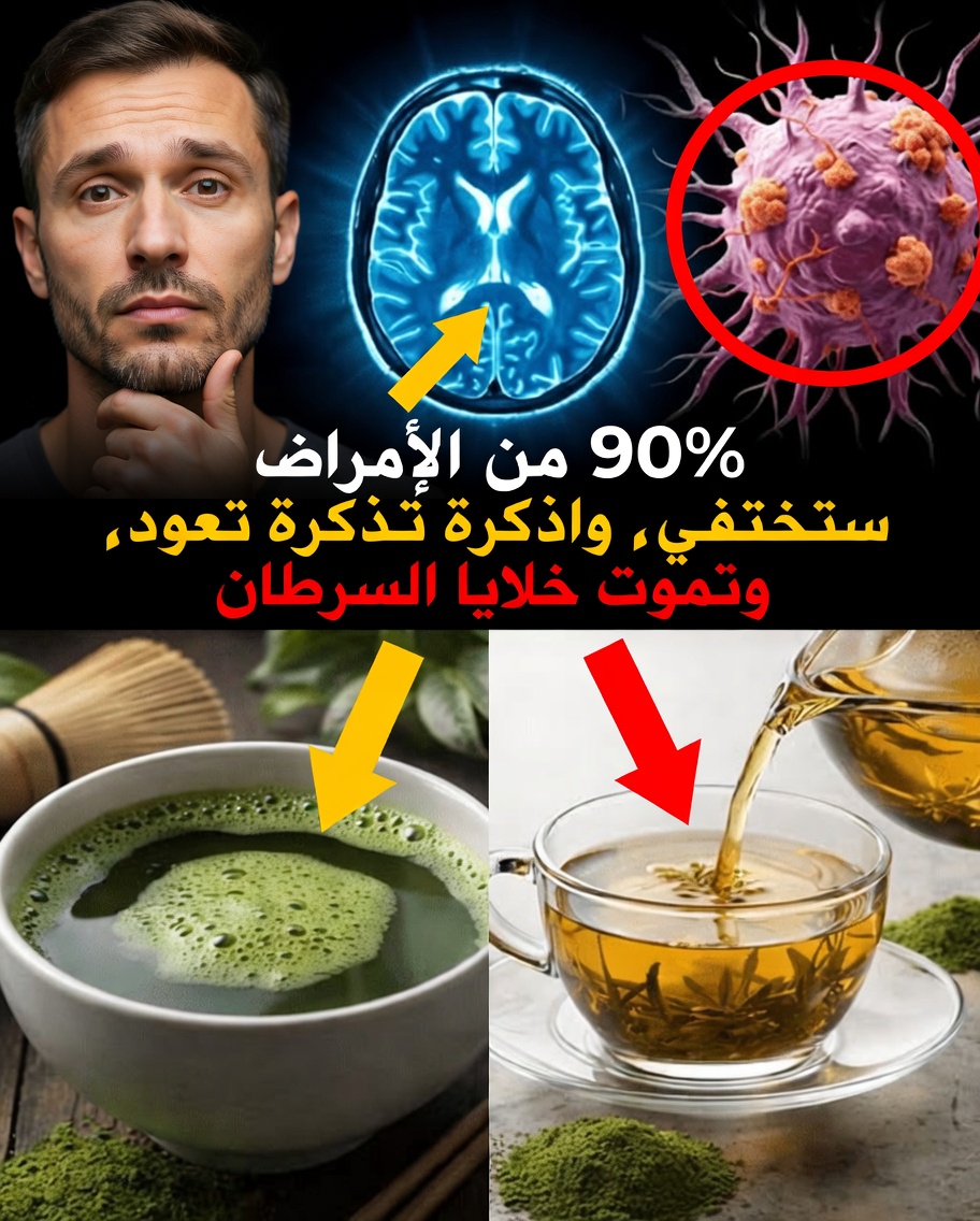 لمن تجاوزوا الستين: 5 أطعمة يومية قد تدعم صحة الدماغ وصفاء الذهن