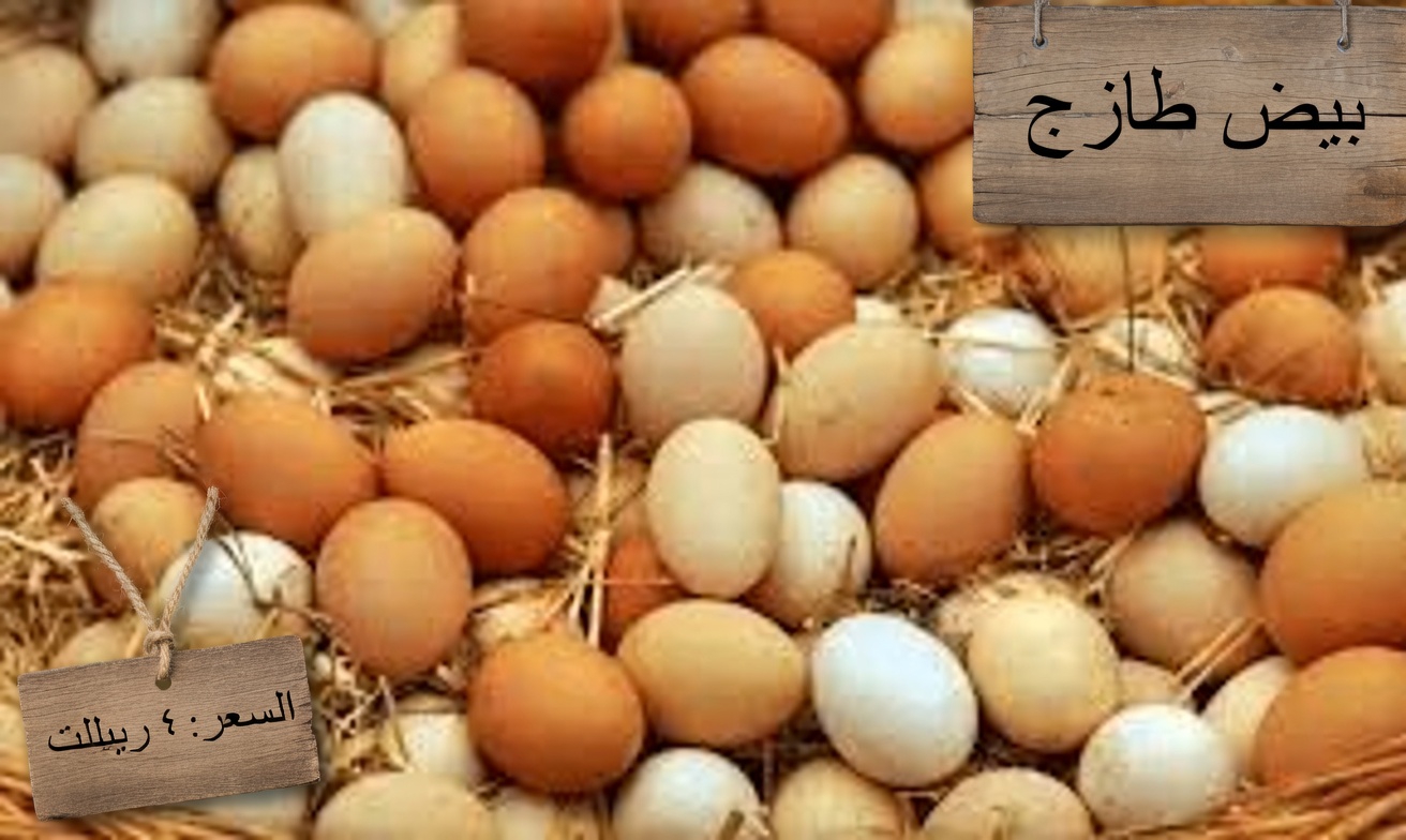 سرّ الحائز على نوبل البالغ من العمر 96 عامًا للحفاظ على حدّة الذهن: الأطعمة التي تدعم طول عمر الدماغ (مدعومة بأبحاث علمية رائدة)