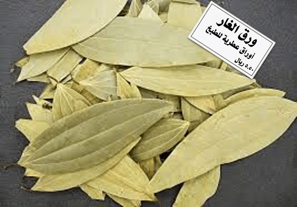 ورقة واحدة تخفّض سكر الدم، تذيب الدهون وتنظّف الشرايين بسرعة – العلم الصادم وراء القوة الخفية المذهلة للطبيعة