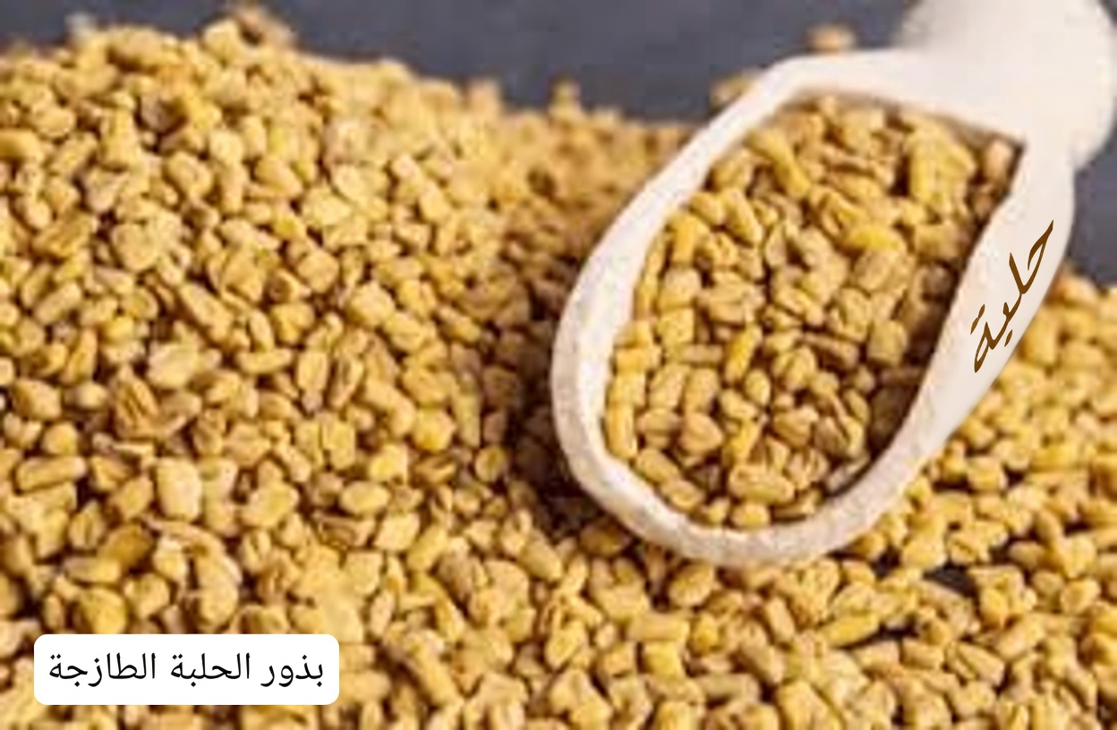 5 أطعمة قد تدعم صحة خلايا بيتا وتساعد على الحفاظ على إنتاج صحي للأنسولين بشكل طبيعي