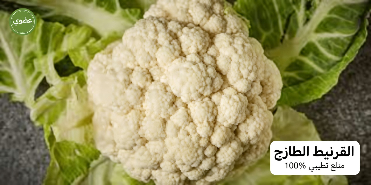 أفضل 6 أطعمة فائقة قد تدعم صحة الكلى وتساعد على التحكم في البيلة البروتينية بشكل طبيعي