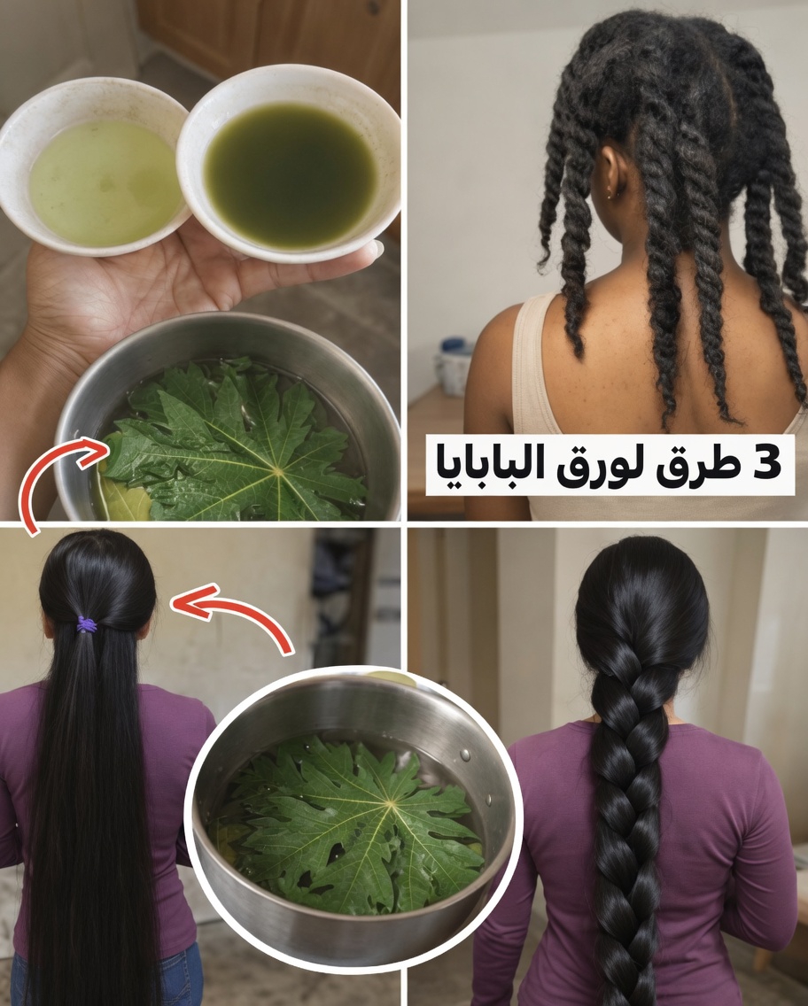 هل تشعرين بأن نمو الشعر من النوع 4C بطيء مع التقصف والقشرة؟ اكتشفي كيف قد تساعد أوراق البابايا في دعم خصلات أكثر كثافة وصحة فروة الرأس
