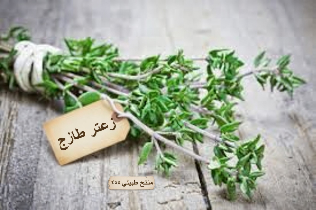 اكتشف الزعتر للعافية اليومية: 35 فائدة، وخصائص رئيسية، ووصفات طبيعية بسيطة لتجربتها في المنزل