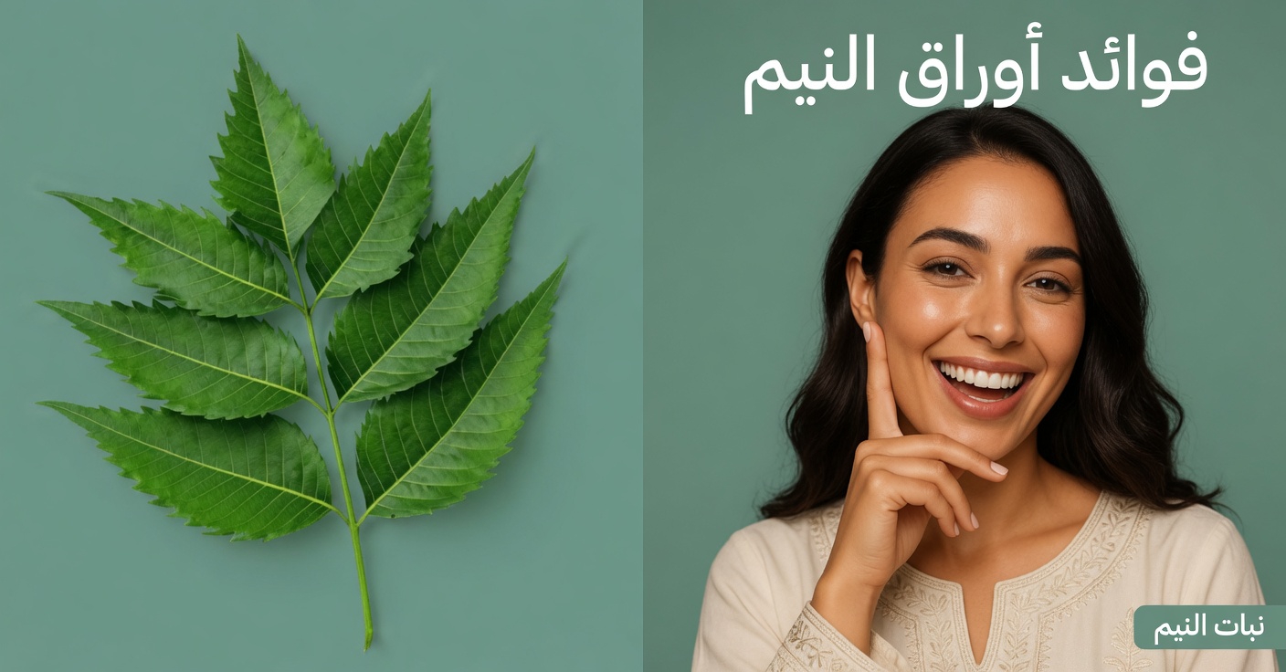 أوراق النيم لصحة أفضل: الفوائد، والاستخدامات العملية، والطرق الآمنة لدمجها بشكل طبيعي
