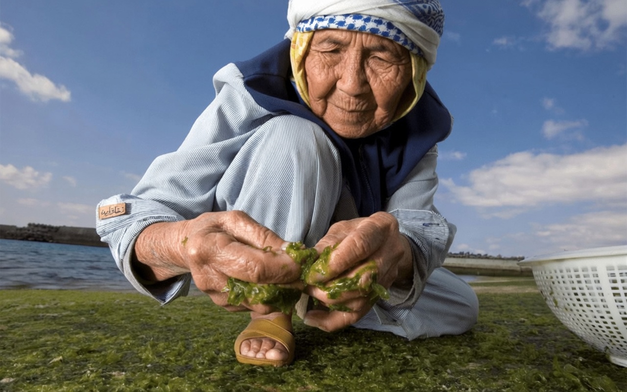 الأطباء اليابانيون الذين عاشوا لأكثر من 100 عام كشفوا للتو: افعل هذا الشيء البسيط مع وجباتك وستبقى خلاياك شابة إلى الأبد