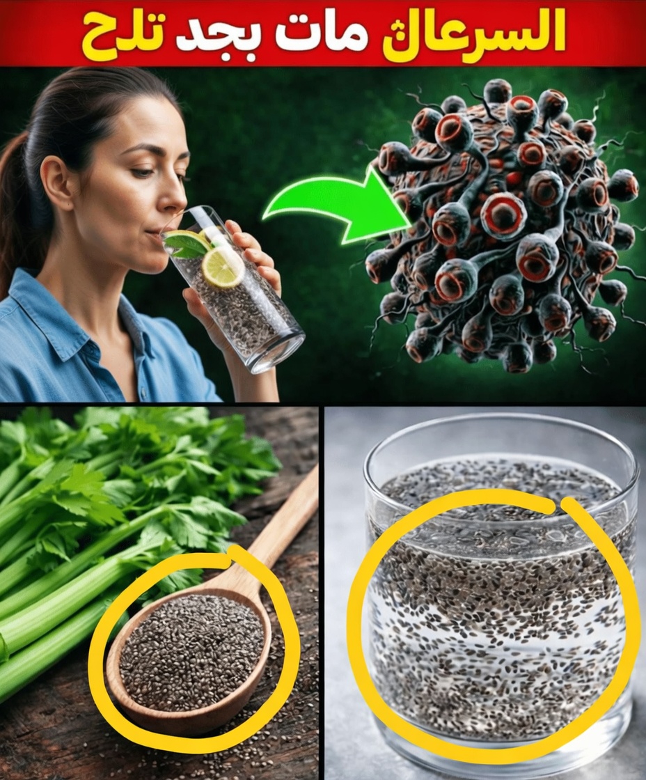 السرطان يخشى هذه الأطعمة: اكتشف أفضل 16 خيارًا نباتيًا قد تساعد في الوقاية من السرطان