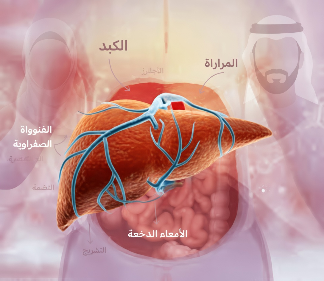 12 علامة تحذيرية غير معتادة قد تدل على أن كبدك يعاني (ولماذا لا ينبغي تجاهلها)