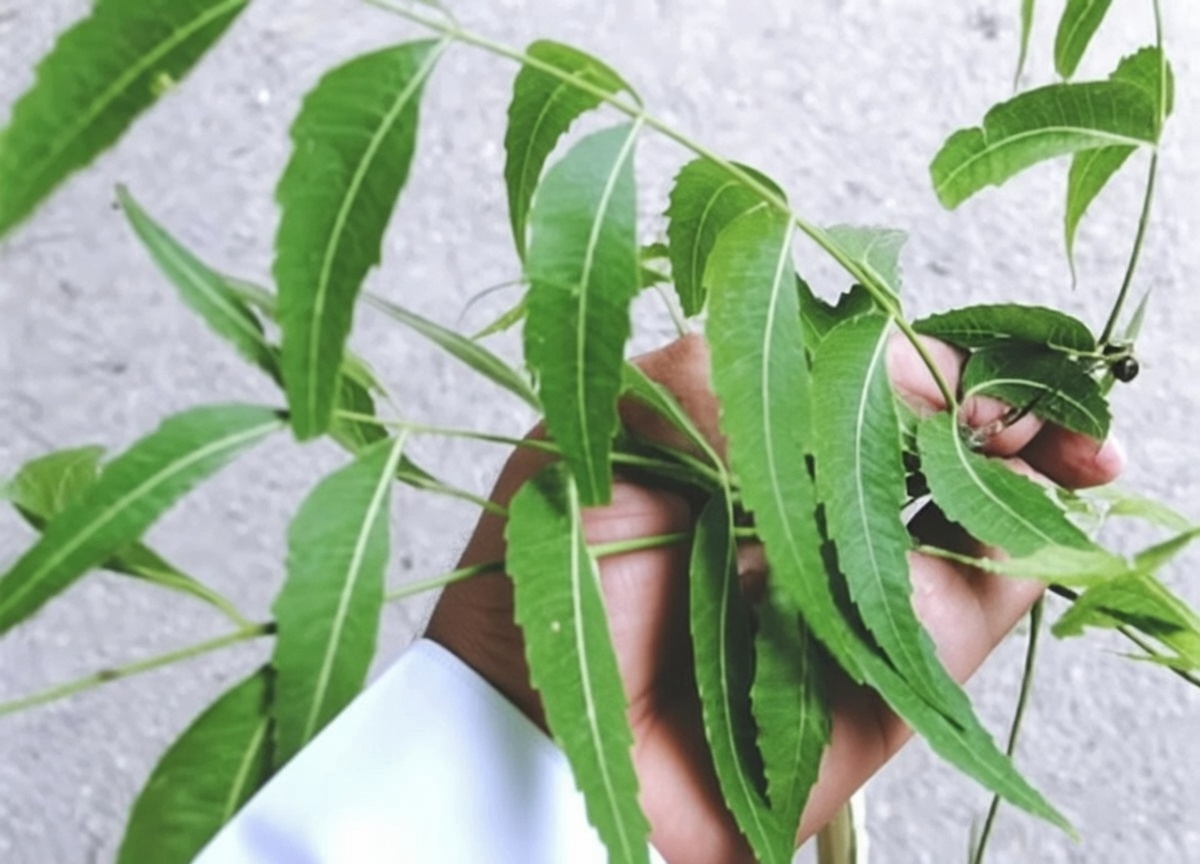 الورقة المُرّة الوحيدة التي تجعل علب الأدوية شيئًا من الماضي بهدوء لكبار السن فوق الستين