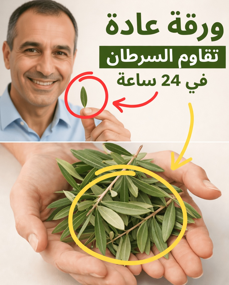 الورقة التي يتحدث عنها الجميع: استكشاف أوراق القشطة الشائكة ودورها المحتمل في العافية