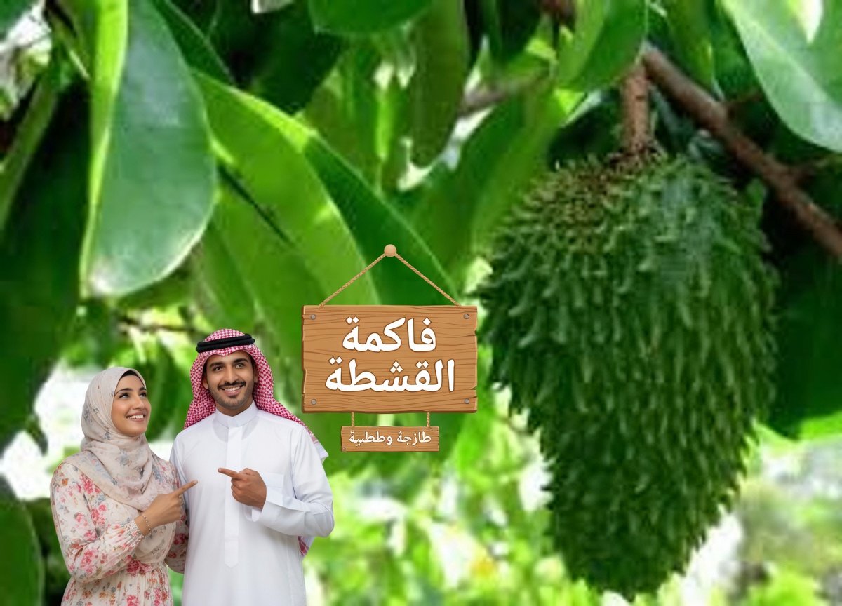 الورقة التي يتحدث عنها الجميع: استكشاف أوراق القشطة الشائكة ودورها المحتمل في العافية