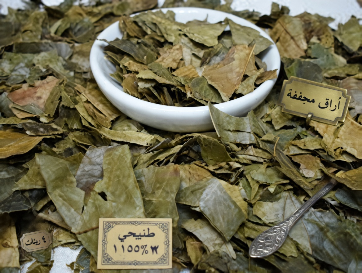 الورقة التي يتحدث عنها الجميع: استكشاف أوراق القشطة الشائكة ودورها المحتمل في العافية