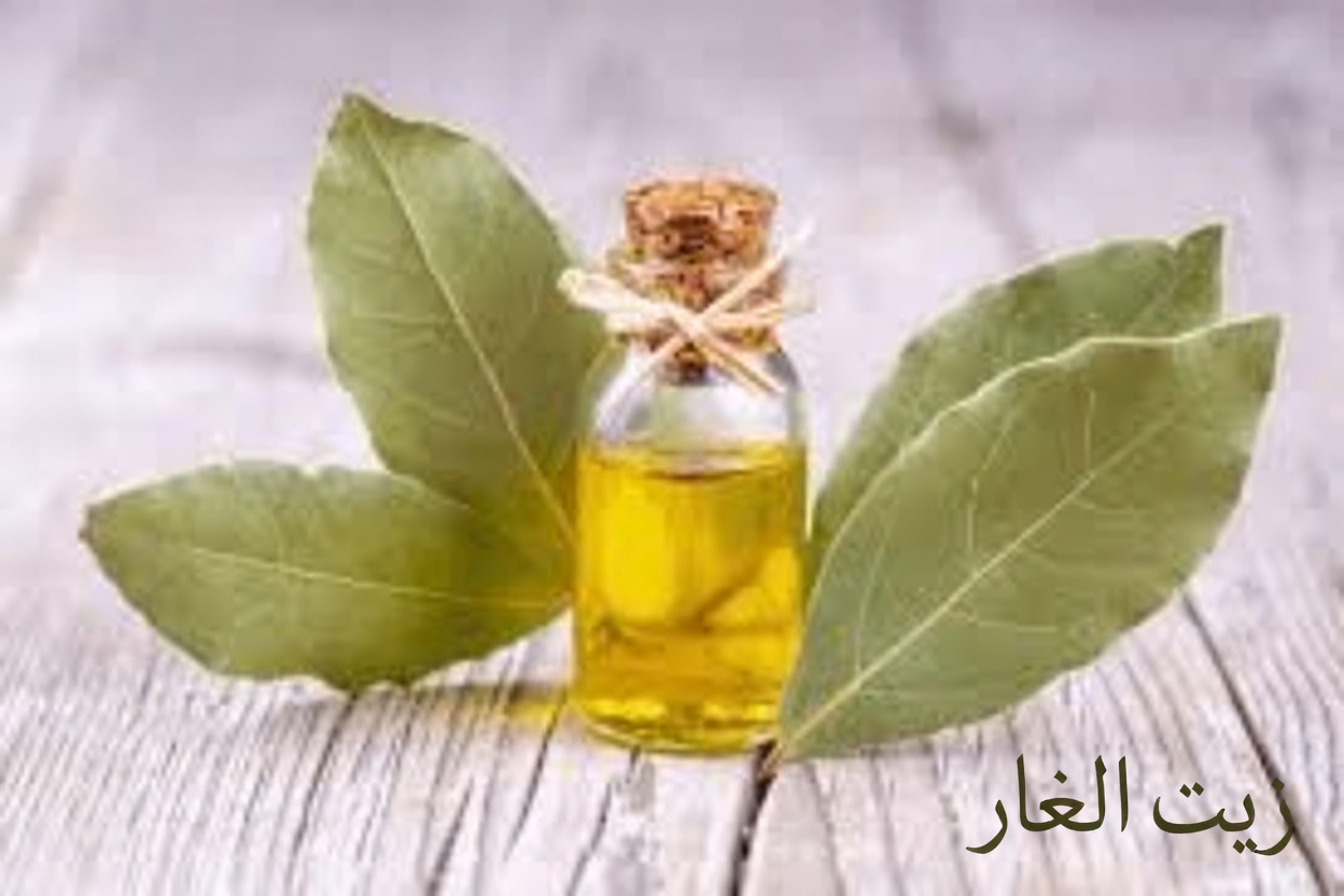 ورق الغار للتجاعيد: حقيقة أم خيال – استكشاف طرق طبيعية لدعم مظهر البشرة الشابّة