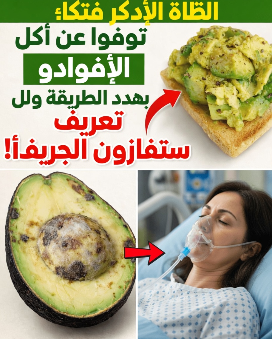 تأكل الأفوكادو؟ تجنب هذه الأخطاء الستة الخطيرة | أخطاء الأفوكادو التي يجب أن يعرفها كبار السن | صحة كبار السن