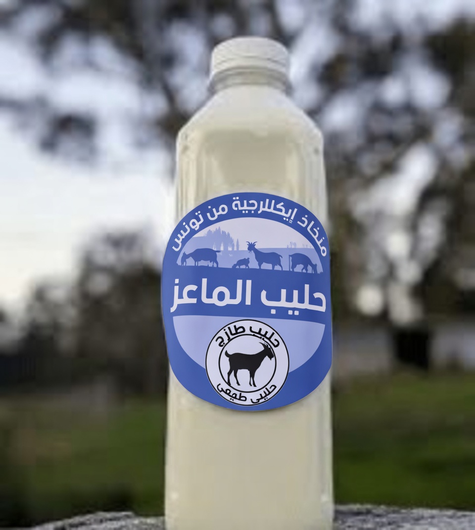 يحذر الأطباء: أسوأ 4 أنواع حليب تضر بكبار السن فوق 60 عامًا و4 أنواع يجب شربها يوميًا