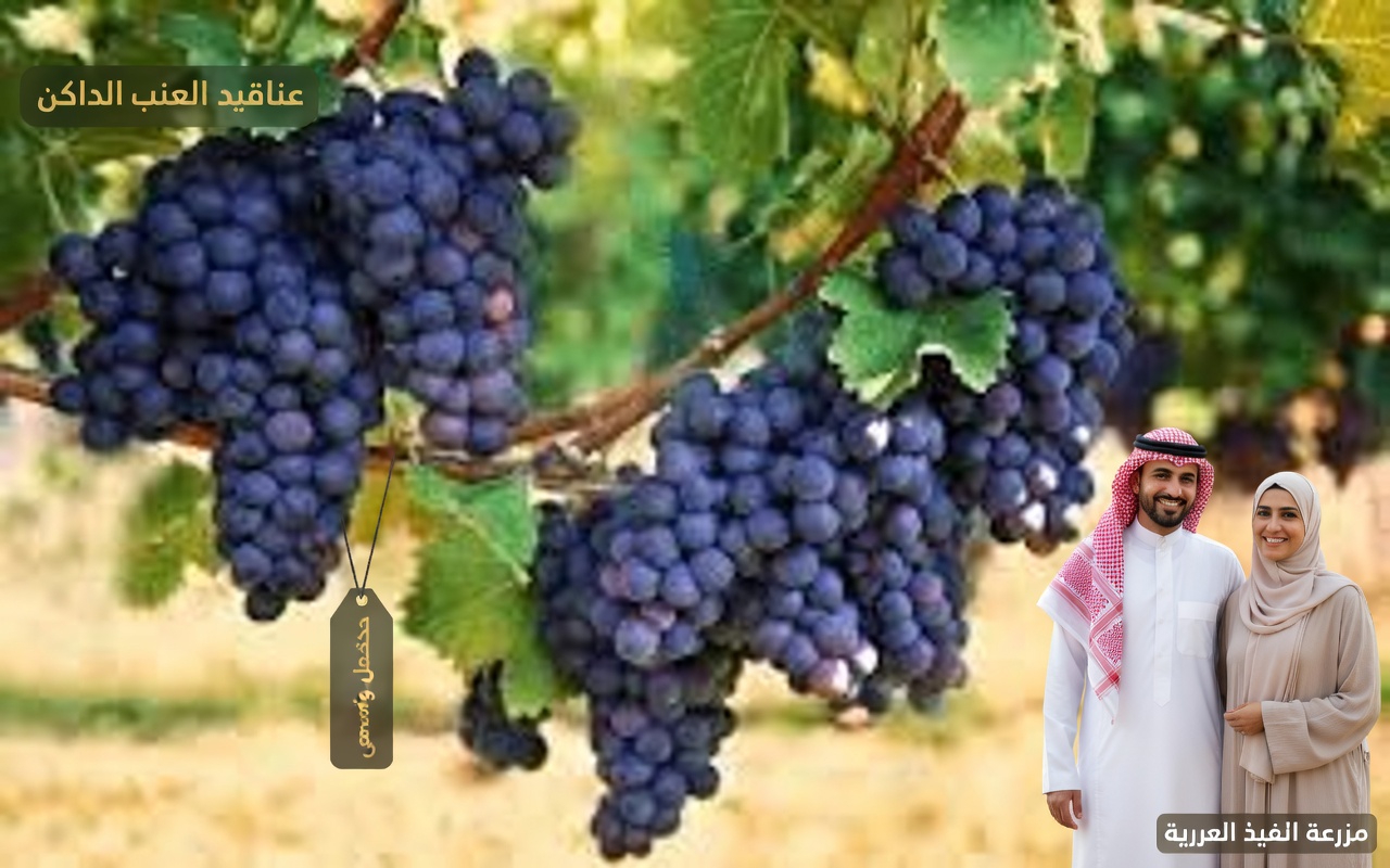 فوق الستين؟ 4 أسوأ فواكه يجب ألا تلمسها أبداً و4 يجب أن تأكلها يومياً