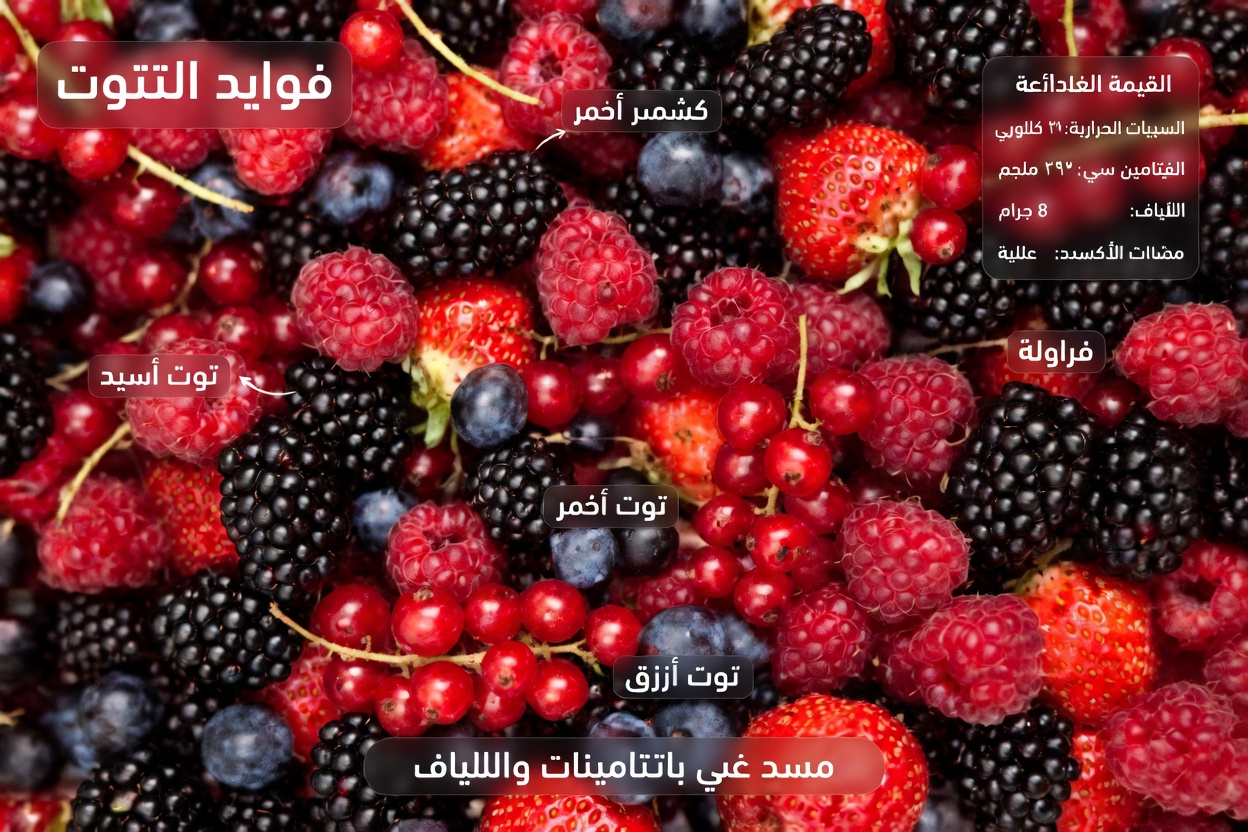 كبار السن: 5 أطعمة تساعد في مكافحة السرطان وإصلاح الجسم