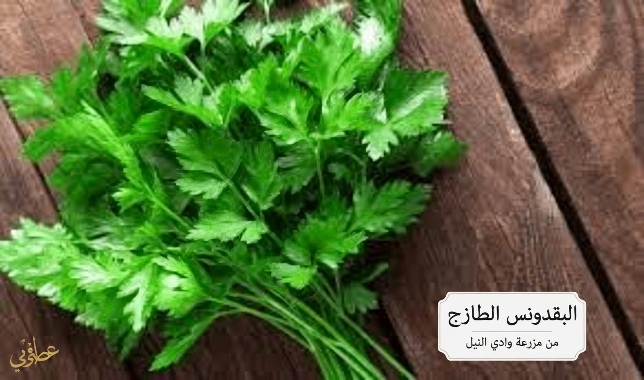 أفضل 3 توابل تطرد السموم فورًا وتُشفي الكلى طبيعيًا – اشعر بخفة خلال أيام!