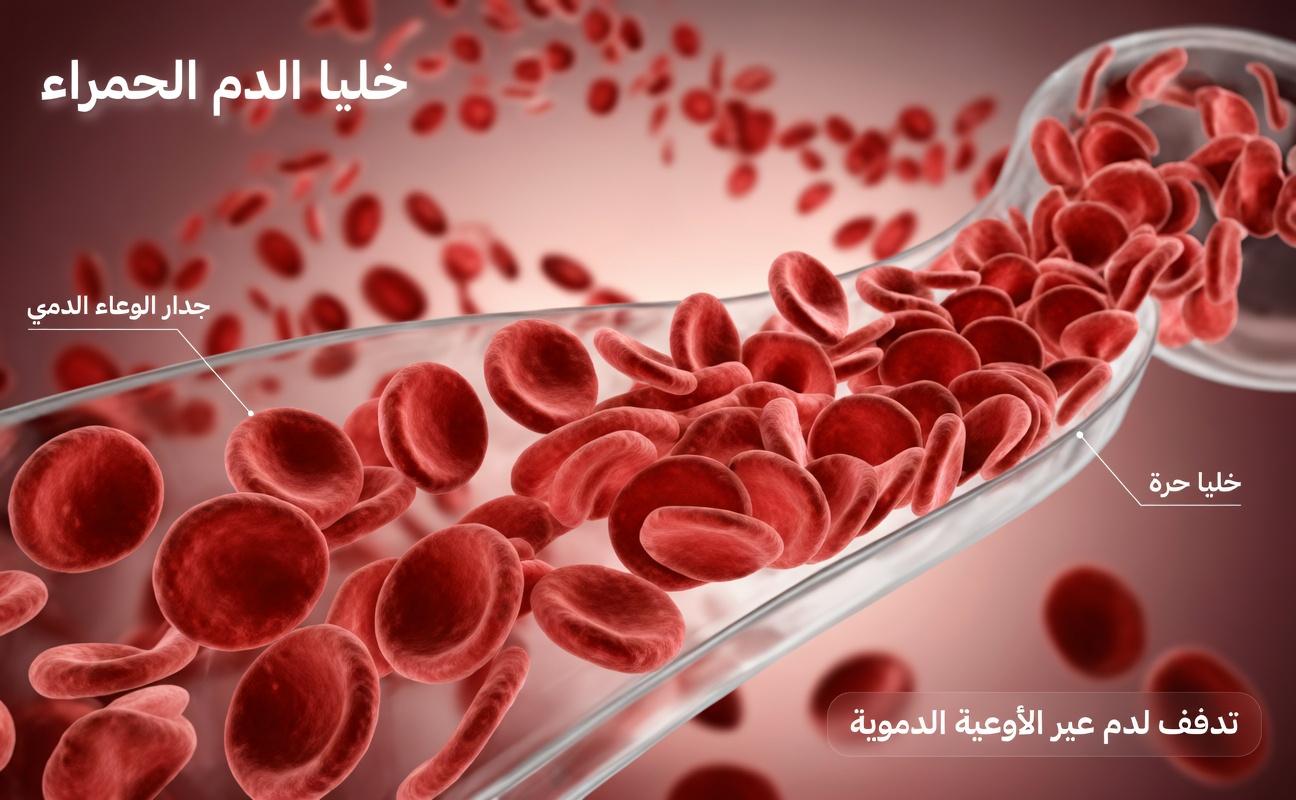 فقط قم بهذا الروتين الصباحي الواحد وشاهد كليتيك تتعافيان أسرع مما تتخيل