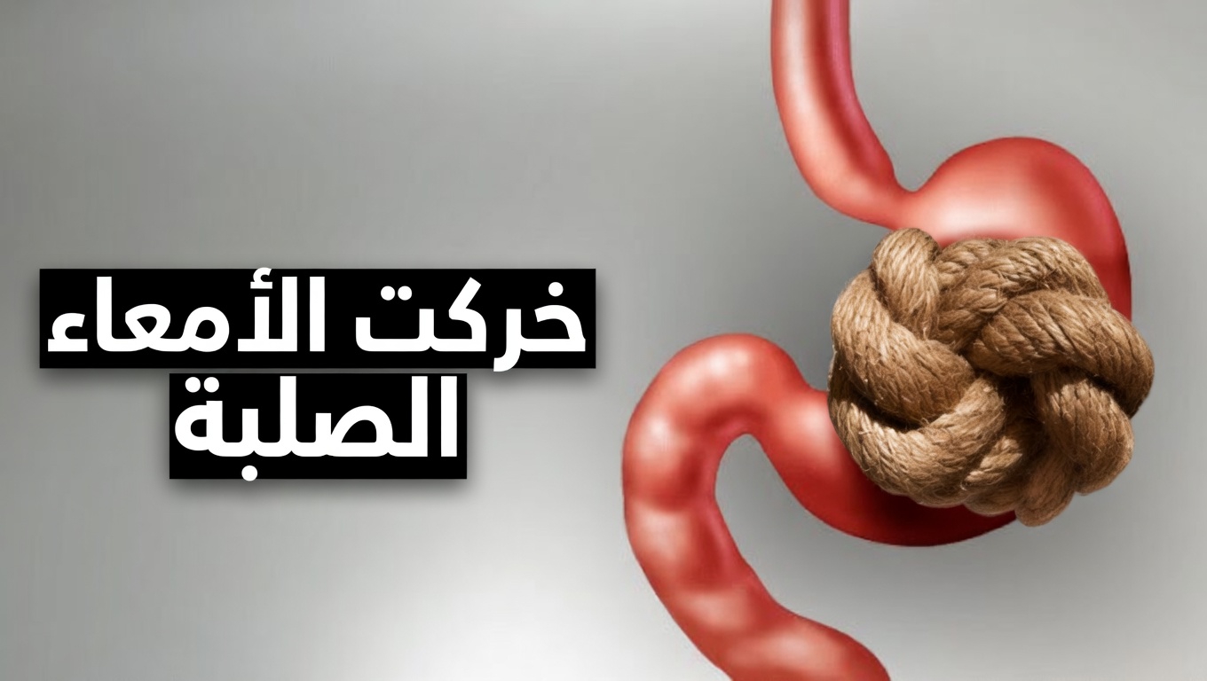 لماذا يبدو التبرز وكأنه معاناة كبيرة؟ كيف تعمل أمعاؤك وعادات بسيطة تساعد على جعل حركات الأمعاء أكثر سلاسة