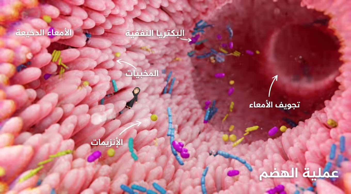 دراسة تُظهر أن أكثر أدوية ارتفاع ضغط الدم استخدامًا قد يضر بصحة القلب