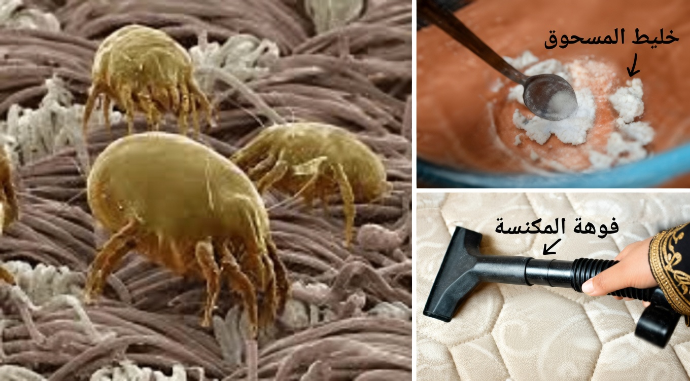 كيفية التخلص من عث الغبار في سريرك