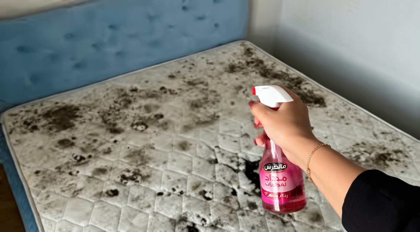 كيفية التخلص من عث الغبار في سريرك