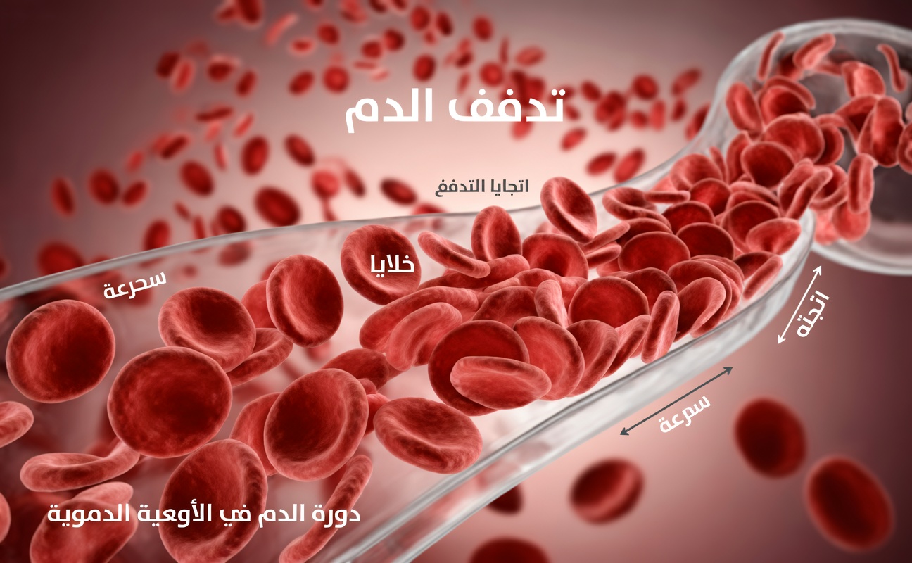 ما هي أفضل الفواكه لتنظيف الأوعية الدموية والحفاظ على صحة القلب كل يوم؟