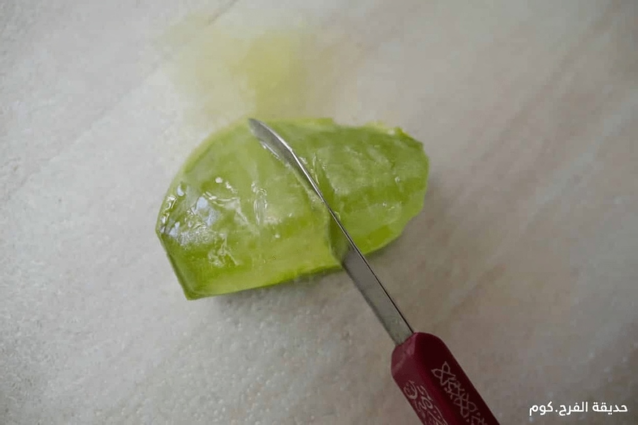 اكتشفي كيف يدعم مزيج الصبار الطبيعي وزيت جوز الهند روتينك اليومي لبشرة مشرقة