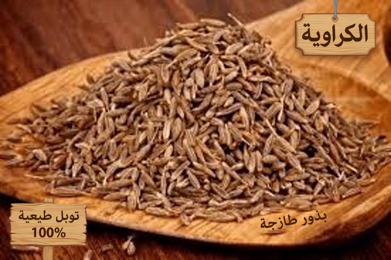 اكتشف 5 توابل يومية لدعم صحة الكلى يضيفها العديد من كبار السن إلى روتينهم اليومي