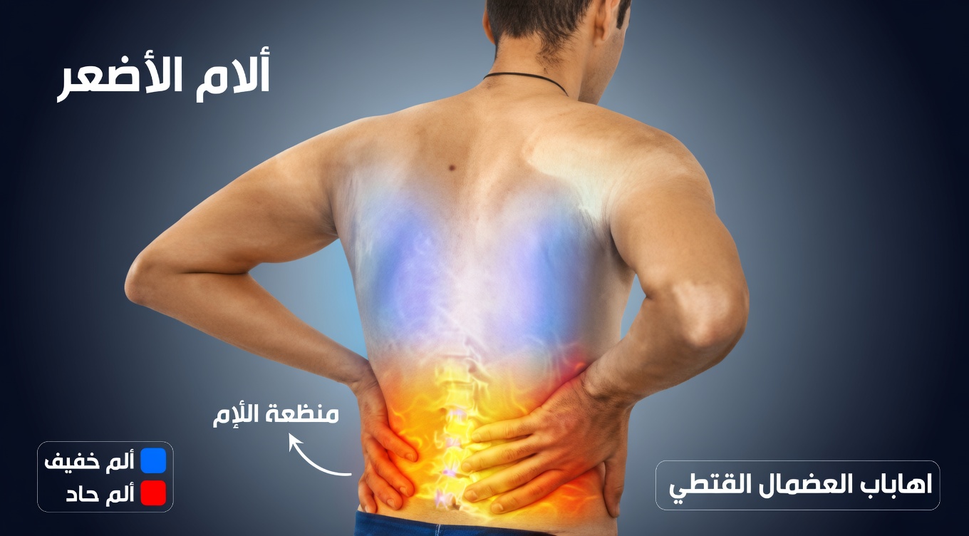 10 آثار جانبية غير متوقعة للميتفورمين لا يتوقع الكثير من المرضى ملاحظتها بعد الاستخدام طويل الأمد