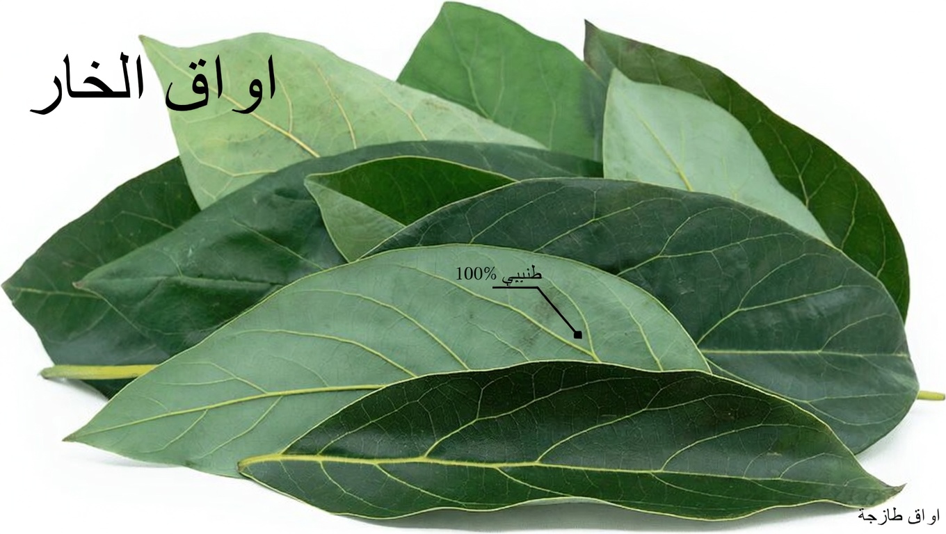 اكتشف أربع أوراق قد تدعم مستويات سكر الدم الصحية، وصحة الكبد، والدورة الدموية، وضغط الدم بشكل طبيعي