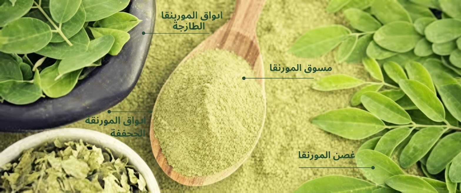 هذه الورقة القوية قد تساعد في محاربة السرطان – لماذا لا يتحدث عنها أحد؟