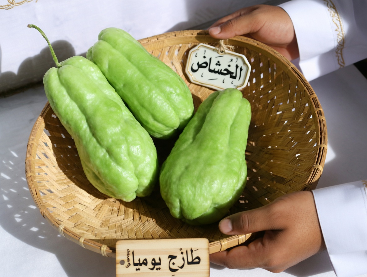 انسَ حبوب الصيدلية — الشايوت يعالج بشكل طبيعي آلام الركبة، وتورّم القدمين، وارتفاع ضغط الدم، والكوليسترول، وضعف الدورة الدموية، وفقر الدم