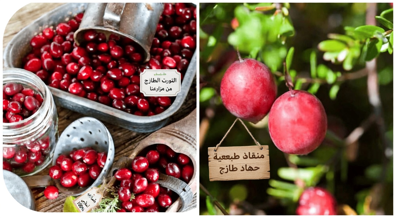 ارتفاع مستوى الكرياتينين؟ 3 فواكه يمكنك تناولها بأمان و3 يُنصح بالحدّ منها لدعم صحة الكلى