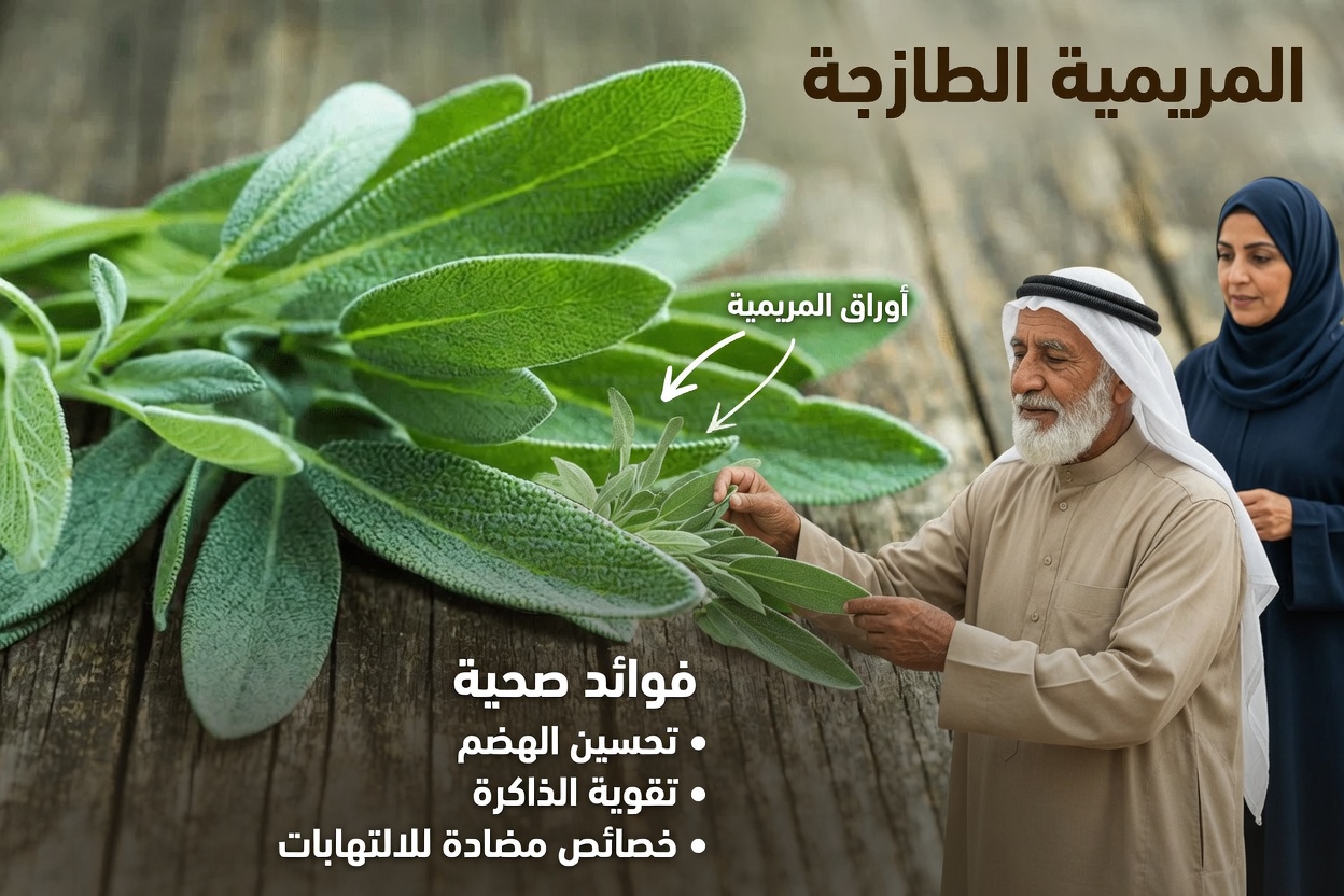 اكتشف ٨ أوراق طبيعية قد توفر دعماً لطيفاً لتوازن الغدة الدرقية في حياتك اليومية