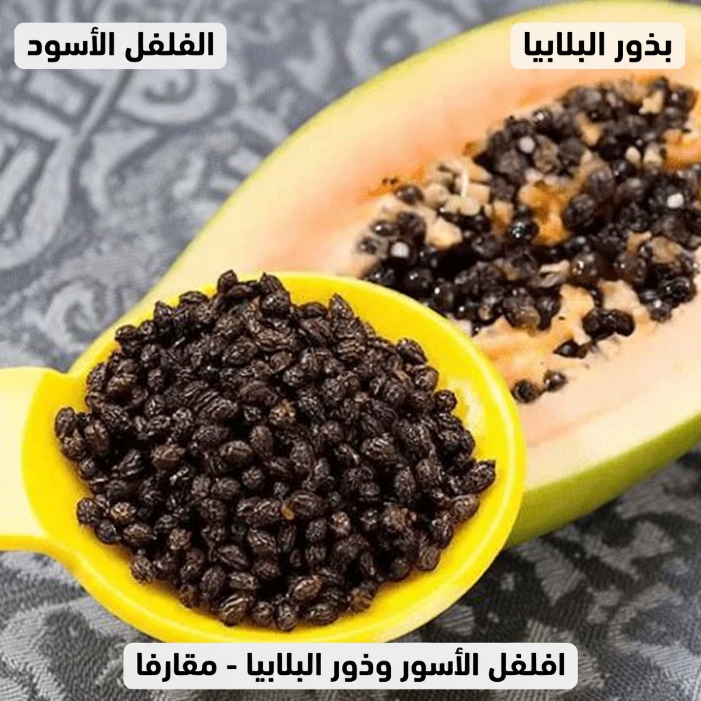 بذور البابايا لتخفيف آلام المفاصل: علاج منزلي بسيط لآلام الركبة والظهر والعمود الفقري يمكنك تجربته اليوم