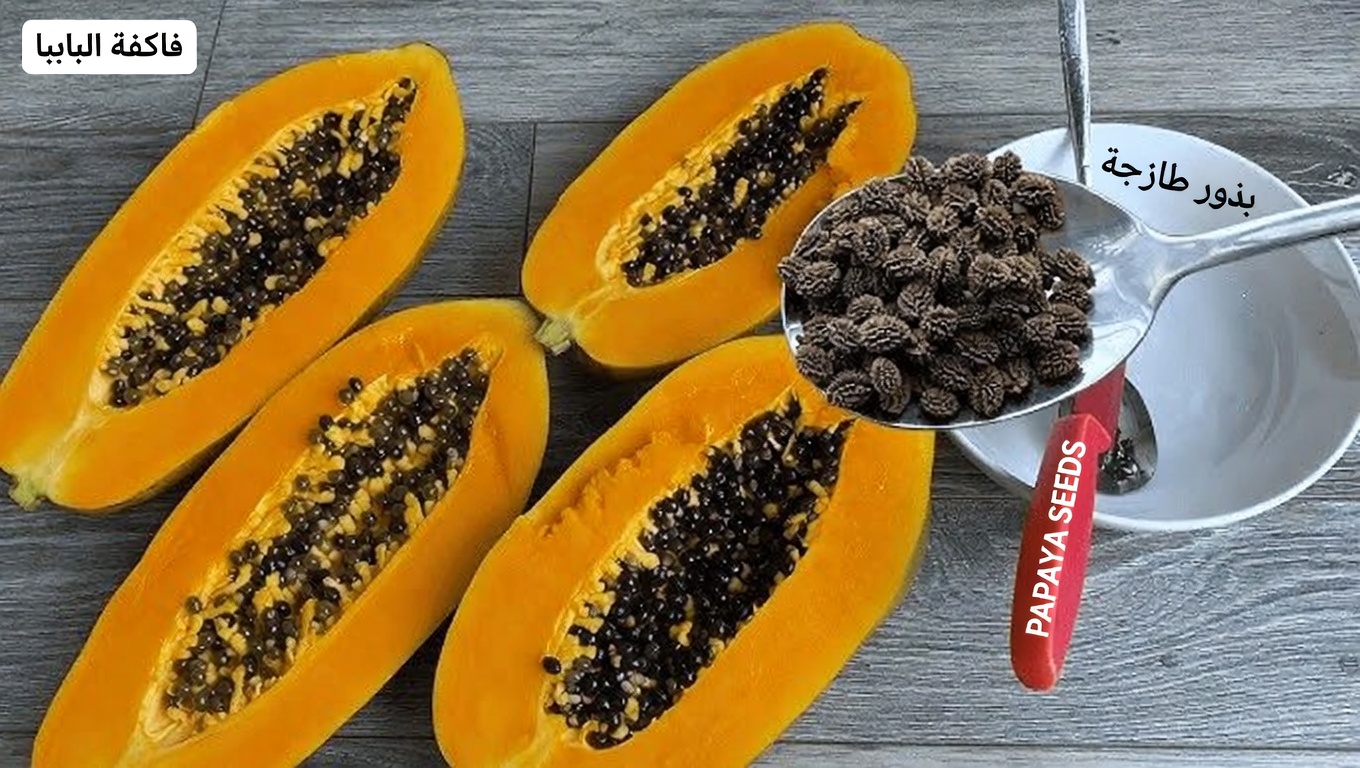 بذور البابايا لتخفيف آلام المفاصل: علاج منزلي بسيط لآلام الركبة والظهر والعمود الفقري يمكنك تجربته اليوم