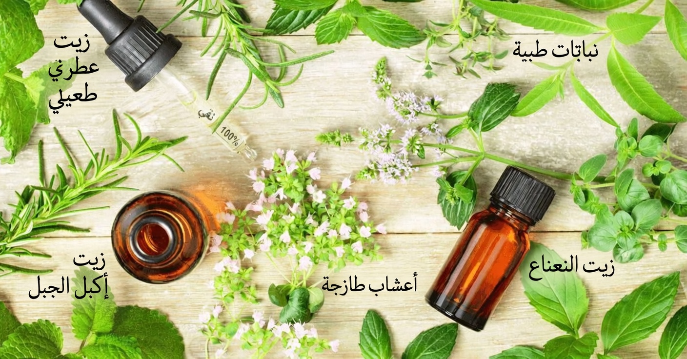 ٩ علاجات منزلية طبيعية للعدوى الفطرية: نصائح يومية بسيطة لدعم راحة البشرة وعافيتها