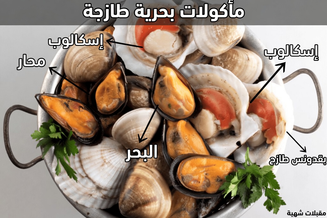 كبار السن المصابون بمشكلات كلوية: تعرّفوا إلى 6 أنواع من البروتين قد تودون تقليلها و4 خيارات أكثر أمانًا