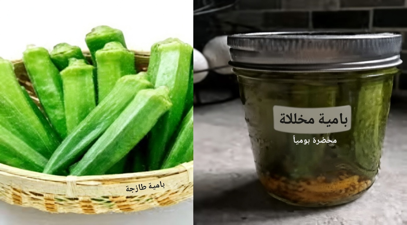 البامية المنطلِقة: القوّة الخضراء الخفية التي تُحدِث ثورةً في صحتك